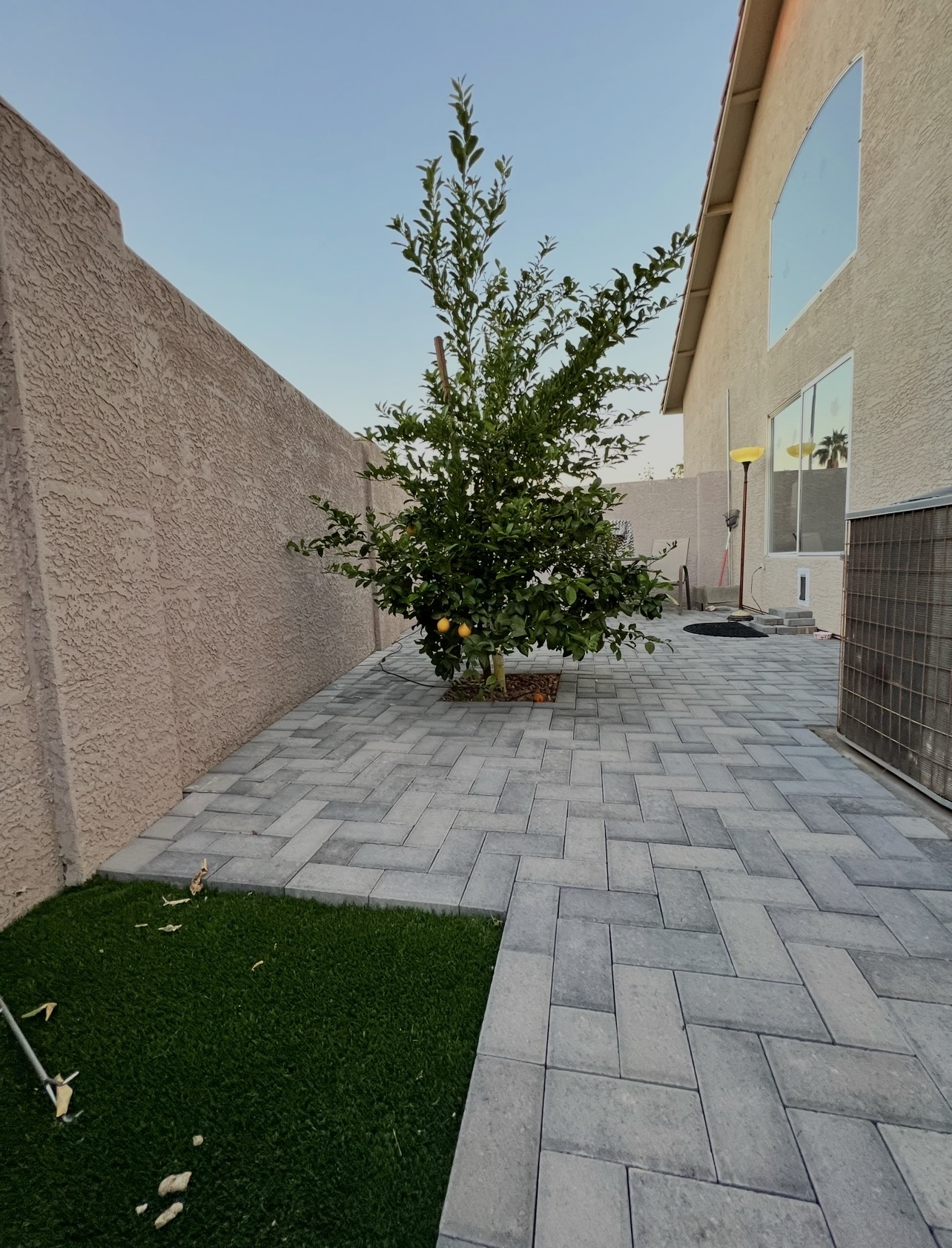 Backyard Renewal — after