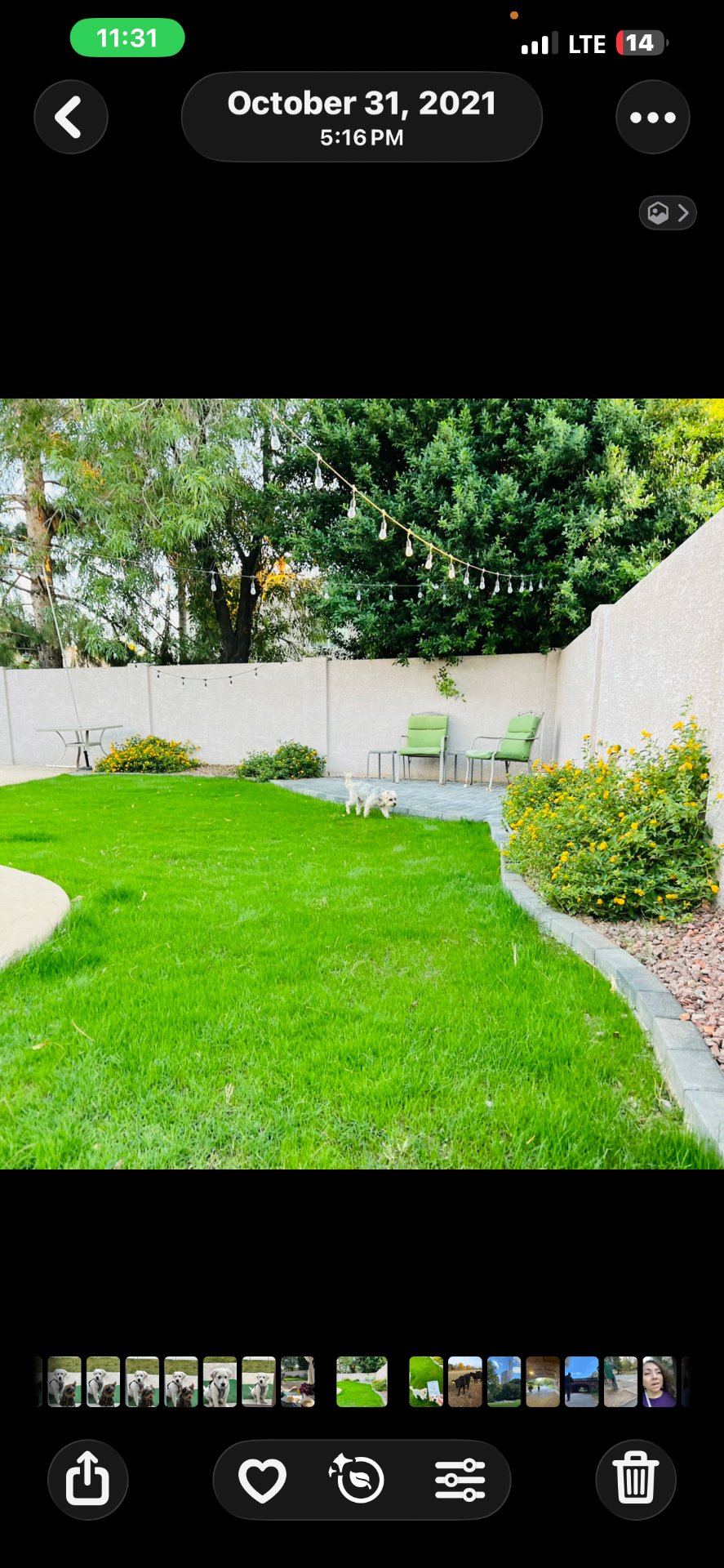 Lawn & Hardscape — after