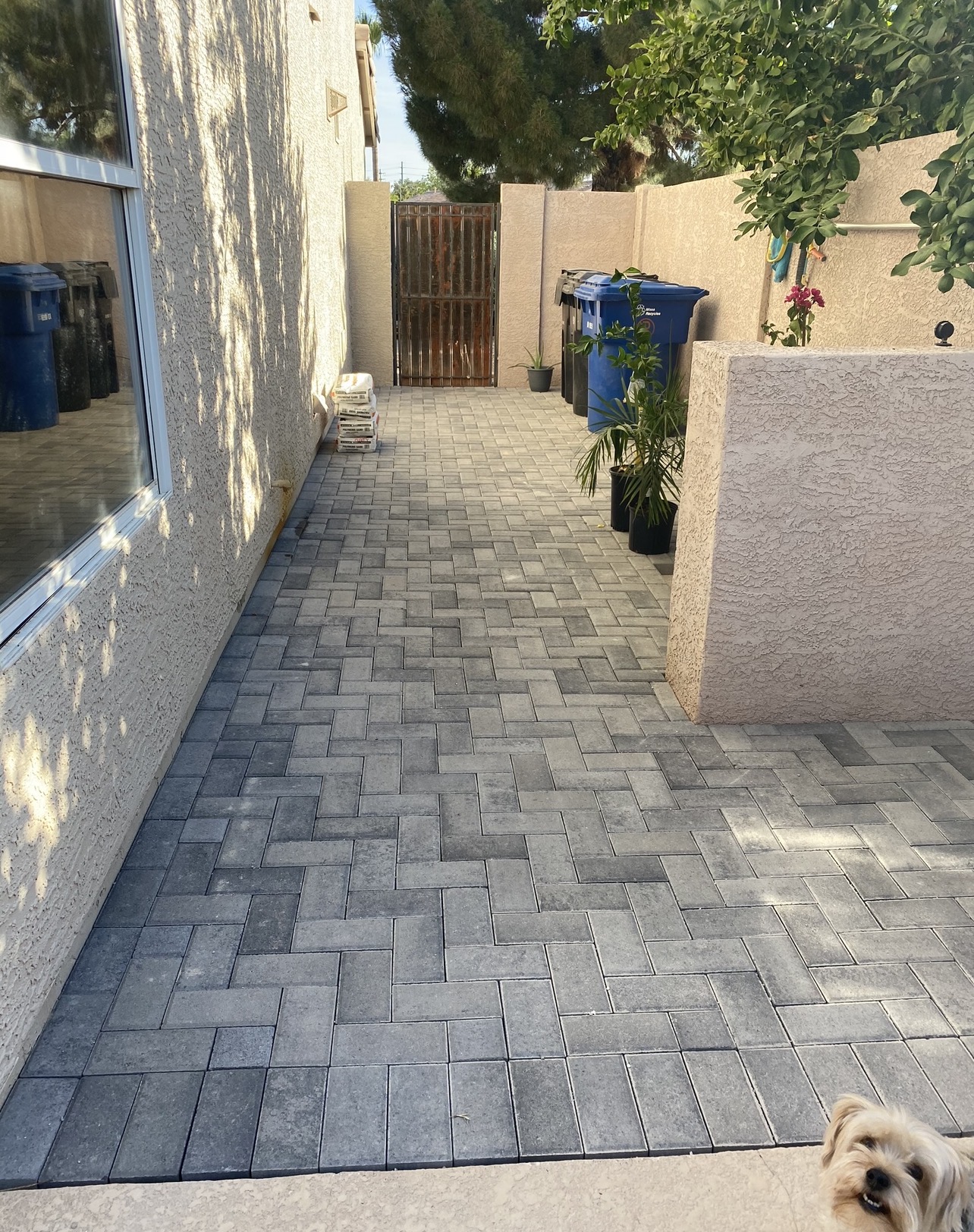 Paver Walkway — after